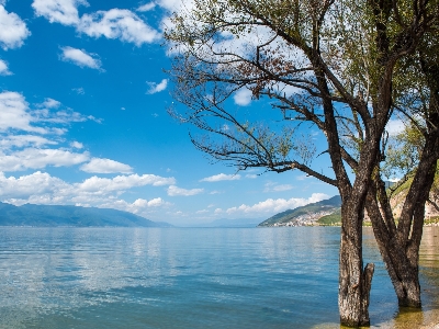 Yunnan