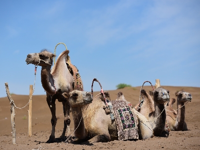 Xinjiang