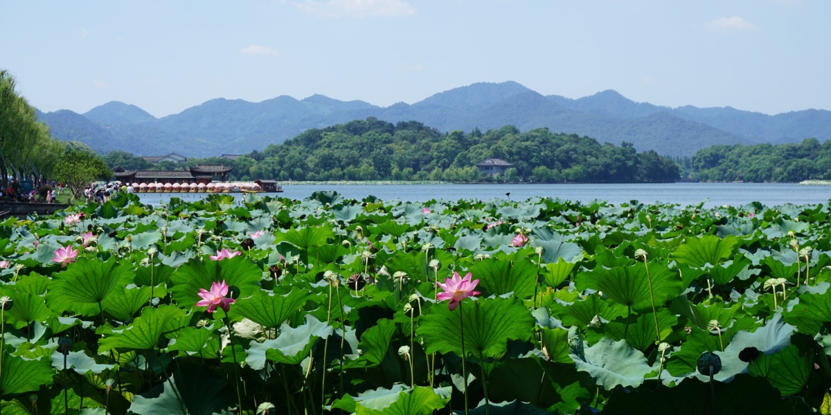 3-Day Shanghai to Hangzhou tour