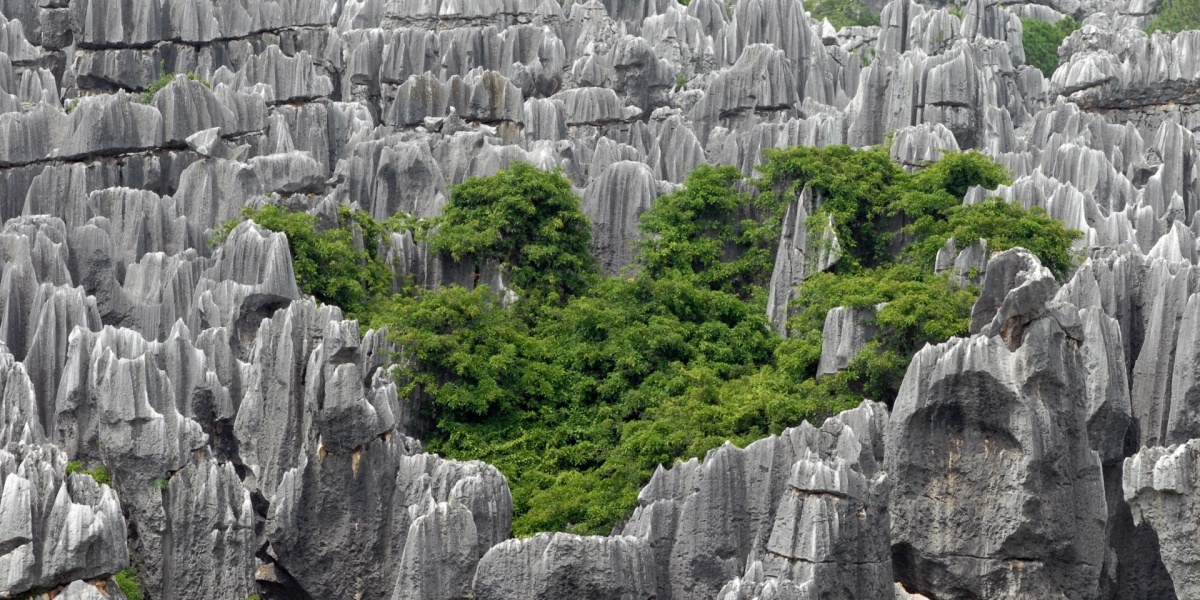 1-Day Trip to Kunming(The Stone Forest. )