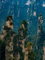 1-Day Zhangjiajie Yuanjiajie & Golden Whip Stream