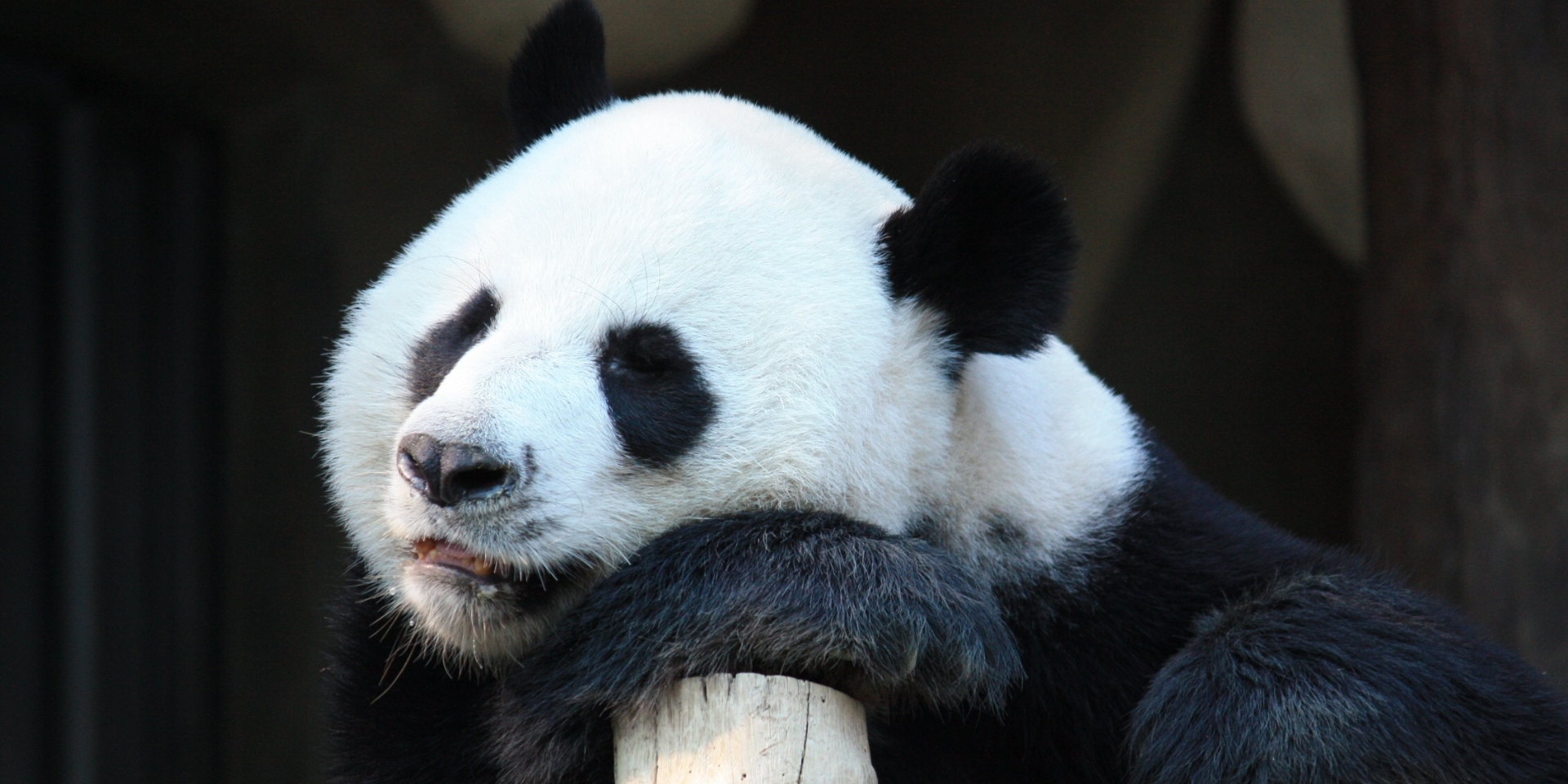 Chengdu