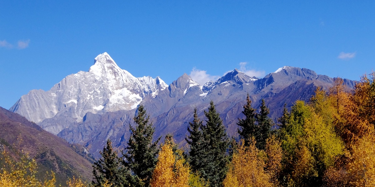 Panda & Mount Siguniang Tour