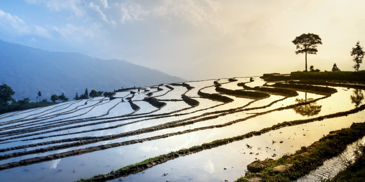 Yuanyang Terraces