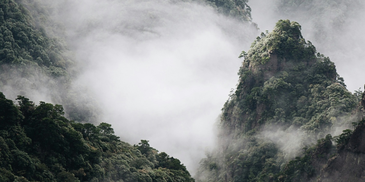 Mount Fanjing