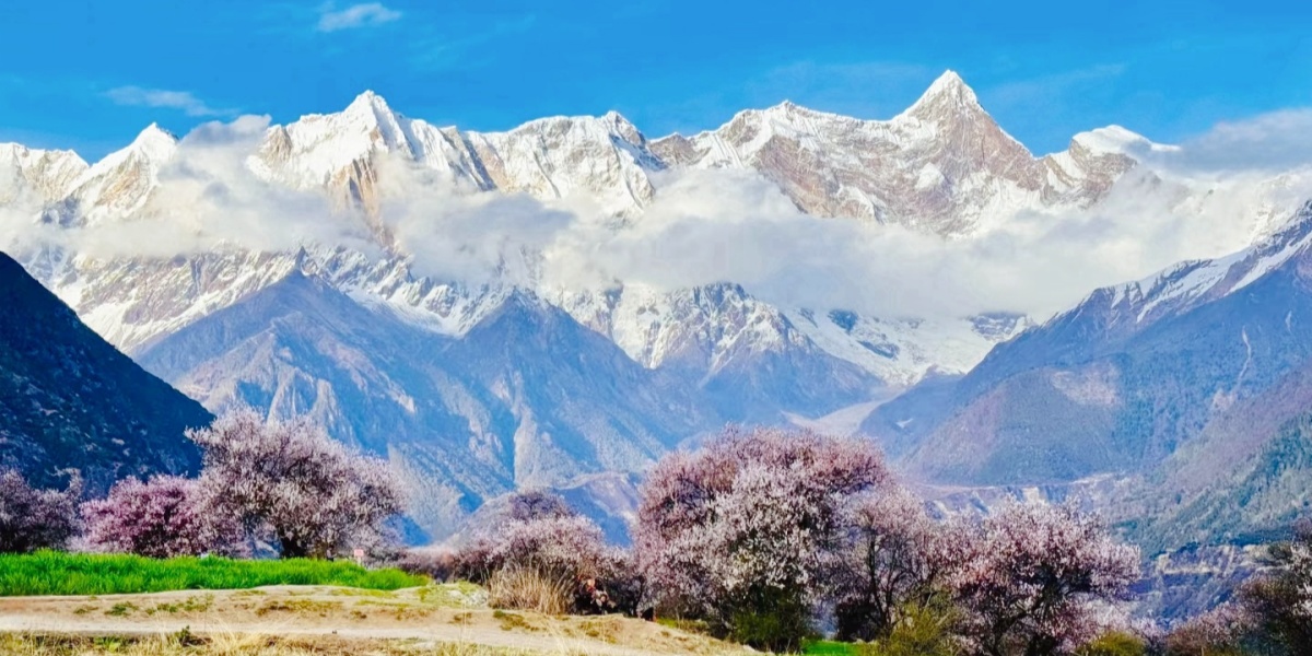 5-Day Tibet Spring Route Itinerary