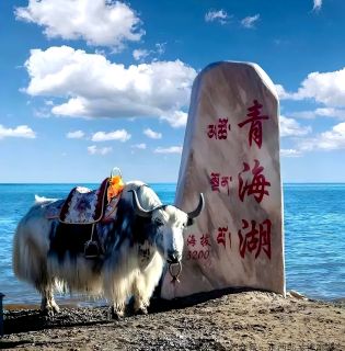 5-Day Qinghai Panorama Tour