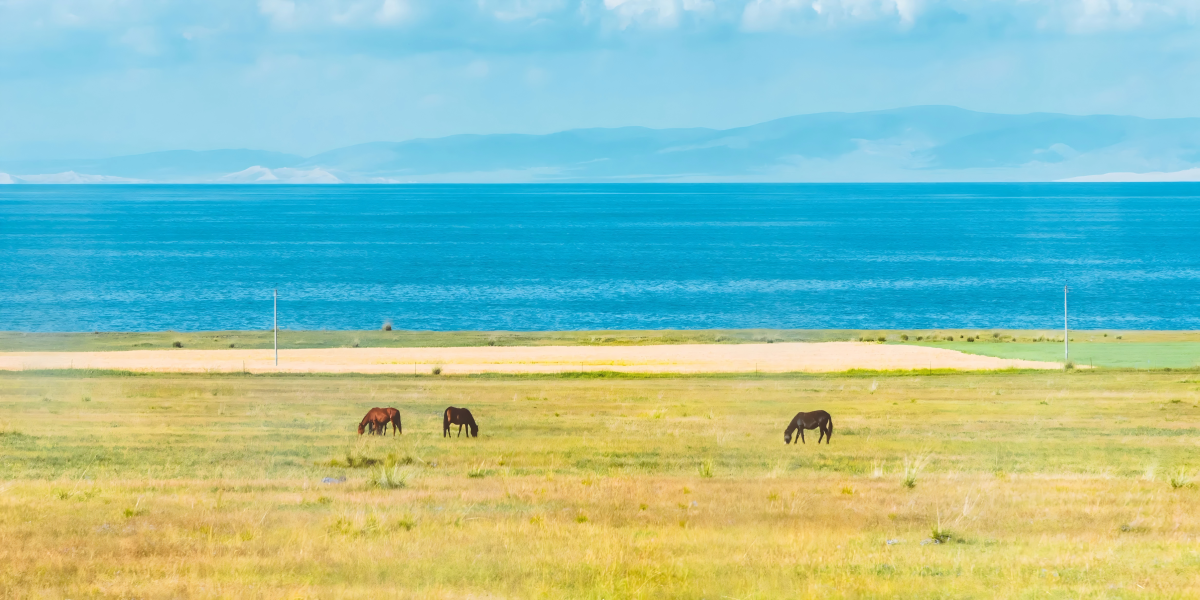 5-Day Qinghai Panorama Tour