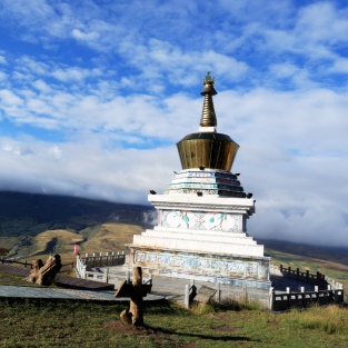 Must-know Qinghai Urban Transportation