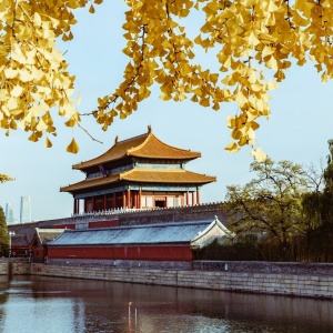 Exploring China’s Imperial Legacy: Forbidden City & Mukden Palace