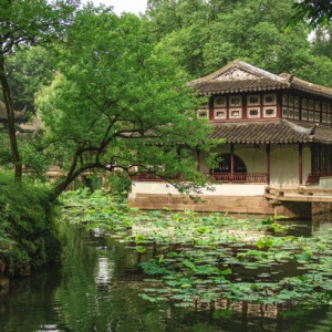 Exploring the Classical Gardens of Suzhou: A Tranquil Escape into Chinese Art and Nature