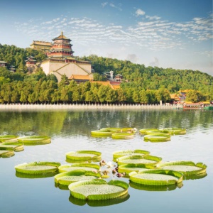 Exploring the Beauty and Grandeur of the Summer Palace: A Must-Visit for Visitors