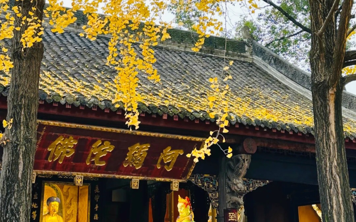 Day 9: Chengdu Departure