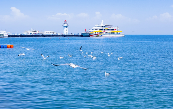 Giorno 2: Lago di Qinghai