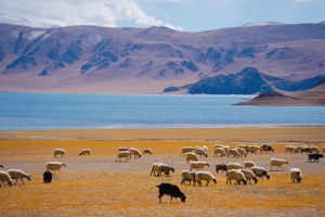 Tibet_1