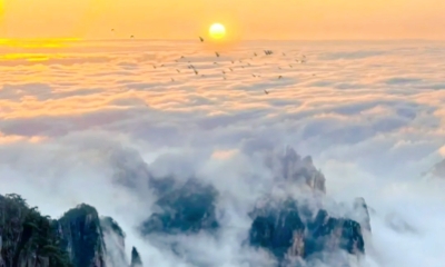 Huangshan_0