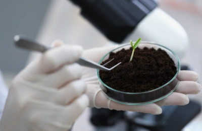 Main venues of the CIIE