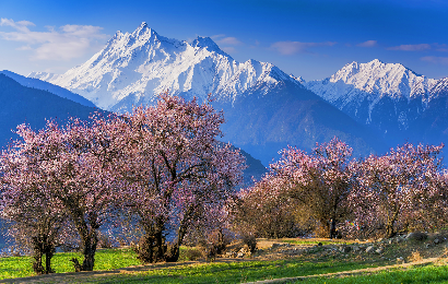 5-Day Tibet Spring Route Itinerary