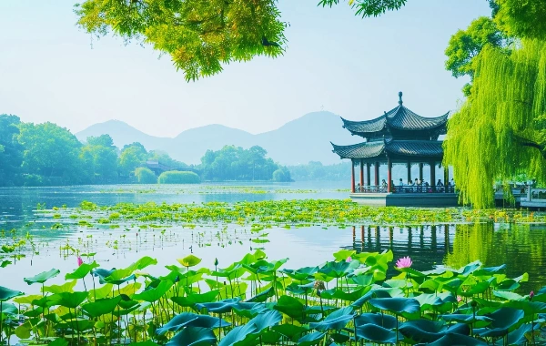 2-Day Hangzhou to Wuzhen Trip