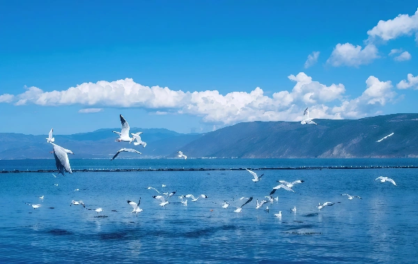 Dali and Lijiang Old Town Tour