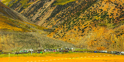 Day 4: Linzhi - Lhasa