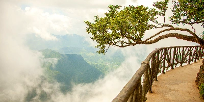 Day 1: Tianmen Mountain Forest Park