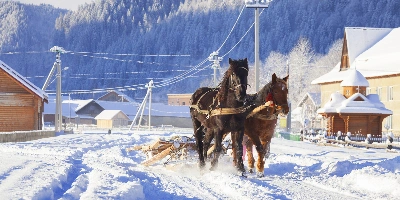 Day 1: Harbin Arrival