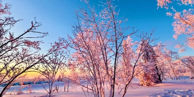 Day 2: Harbin&Departure