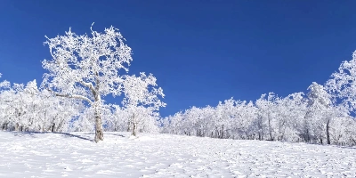Day 2: Harbin&Departure