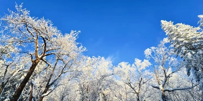 Day 2: Harbin&Departure