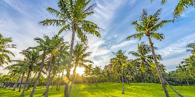 Day 3: Sanya-Lingshui