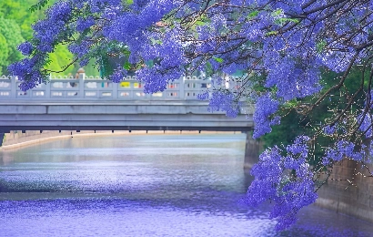Yunnan Stone Forest & Terrace Tour