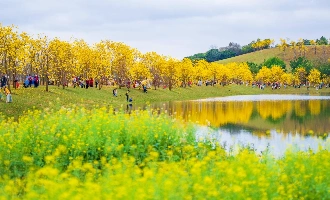 Tag 5: Nanning (Abteilung)