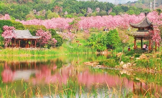 Tag 5: Nanning (Abteilung)