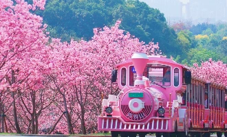 Tag 5: Nanning (Abteilung)