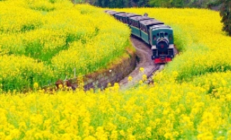 Day 2: Chengdu - Leshan