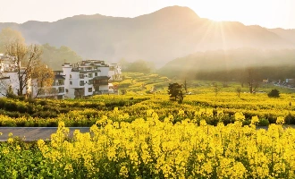 Day 4: Wuyuan – Shanghai