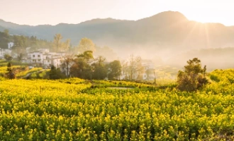 Day 4: Wuyuan – Shanghai