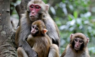 Day 1: Arrival in Guiyang