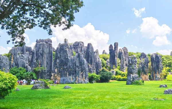 Giorno 15: Kunming Partenza