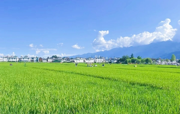 Day 4: Dali - Lijiang