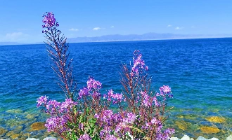 Day 8: Karamay - Bole