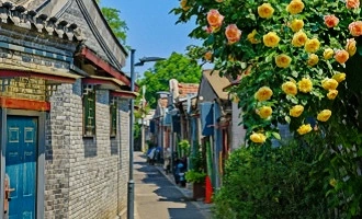 Day 11 : 베이징 출발