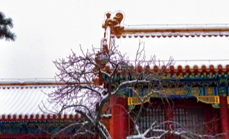 Day 11 : 베이징 출발