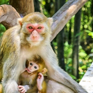 Guilin Zhangjiajie Wonderful 7-Days Tour