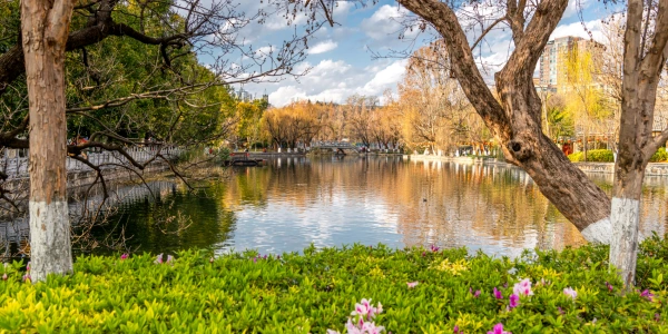 Day 1: Kunming Arrival