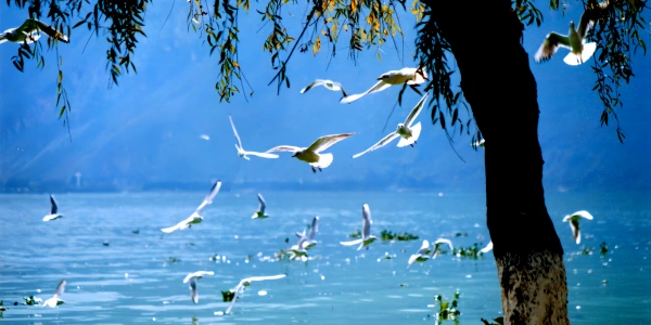 Day 1: Kunming Arrival