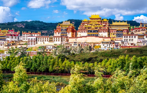 Giorno 8: Chengdu-Shangri-La