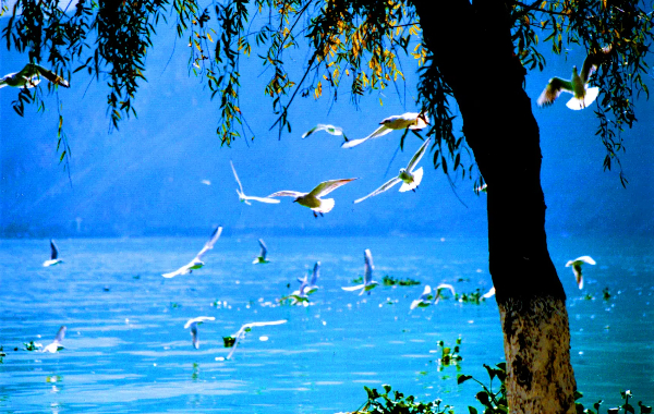 Giorno 2: Kunming - Dali