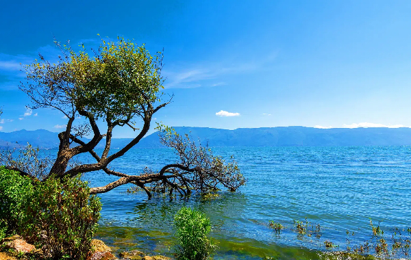 Giorno 3: Dali - Lijiang